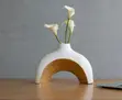 B21 Elysium Luxury Ceramic Arch Vase - 1