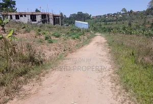 Prime Plots for Sale at Katende, Kiringente Divine Estate