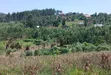Prime Plots for Sale at Katende, Kiringente Divine Estate - 5