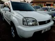 Nissan X-Trail 2004 Pearl - 3