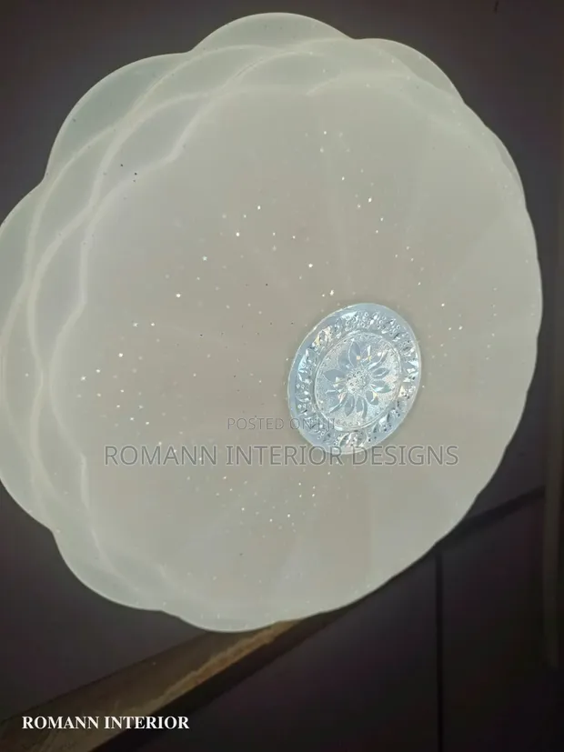 72W Ceiling Light - 3-in-1 Color Changing - 1