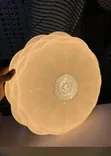 72W Ceiling Light - 3-in-1 Color Changing - 2