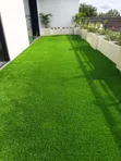 Outside Shade Grass Carpet - 1