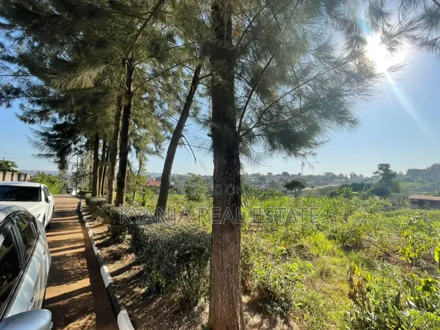Land for Sale in Lubowa - 50 Decimals - 1