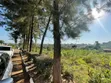 Land for Sale in Lubowa - 50 Decimals - 1