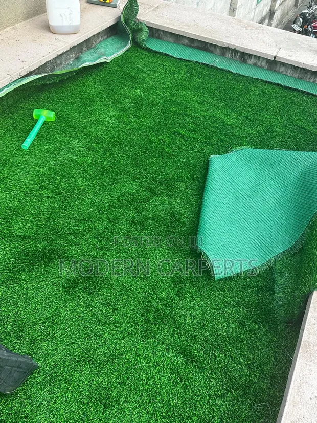 Capture Artificial Turf - 1