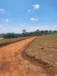 Prime Plots for Sale at Mabombwe~Bulondo Wakiso Divine Land Estate - 2