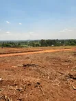 Prime Plots for Sale at Mabombwe~Bulondo Wakiso Divine Land Estate - 4