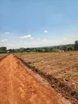 Prime Plots for Sale at Mabombwe~Bulondo Wakiso Divine Land Estate - 5