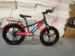 Xflin Kids Bicycle (8-15 Years)