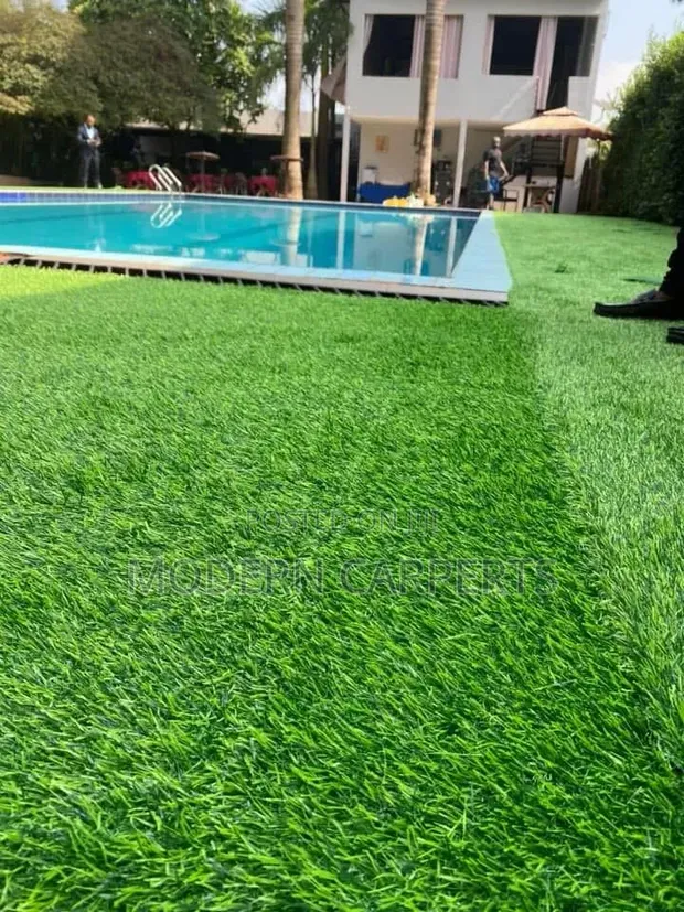 Dericm Artificial Turf - 1