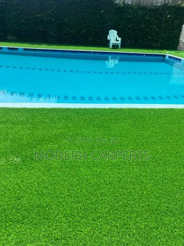 Srnic Artificial Turf - 1