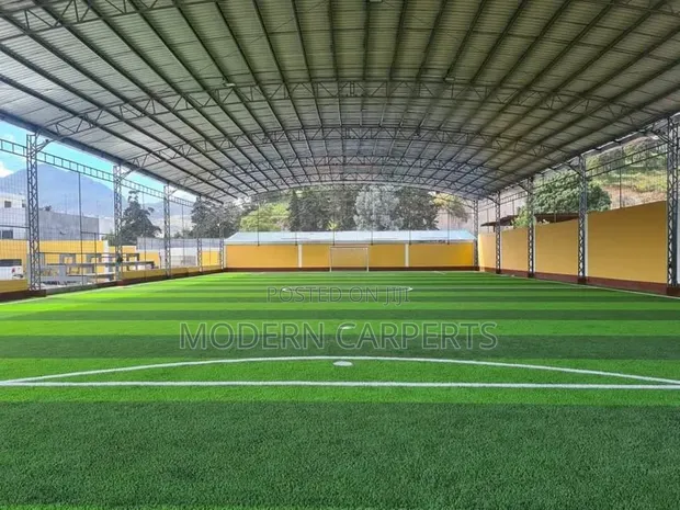 Futssic Artificial Turf - 1