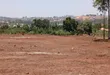 Prime Plots for Sale in Wakiso - Buyera Temangalo Estate - 2
