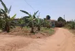 Prime Plot for Sale in Wakiso - Buyera Town, Hoima Road - 3