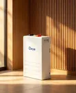 5kWh 48V Wall Mounted Deye Lithium Battery - 1