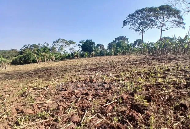 5 Acres Land for Sale in Bulondo, Wakiso District - 1