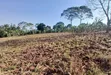 5 Acres Land for Sale in Bulondo, Wakiso District - 2