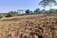 5 Acres Land for Sale in Bulondo, Wakiso District - 3