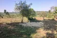 5 Acres Land for Sale in Bulondo, Wakiso District - 4