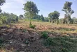 5 Acres Land for Sale in Bulondo, Wakiso District - 5