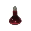 Tronic 250W Infrared Heat Brooder Bulb - 2