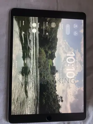 Apple iPad Pro 10.5 (2017) 256GB Gray