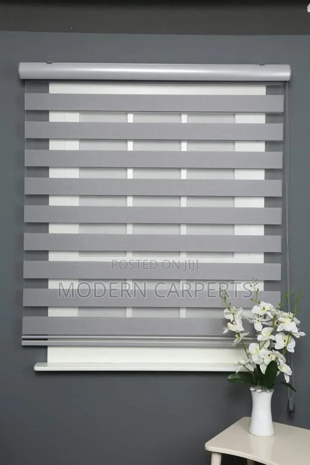 Spanish Zebra Executive Blinds - 1