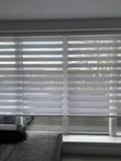 Vetz Window Zebra Blinds - 1
