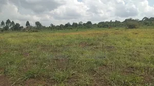7 Acres Land for Sale in Nakibano, Kimenyedde, Mukono