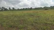 7 Acres Land for Sale in Nakibano, Kimenyedde, Mukono - 1