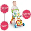 2-in-1 First Steps Baby Walker - 2