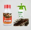 Instant Bedbugs & Cockroaches Killer (100ml) with 2L Spray Pump - 1