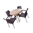 Heavy-Duty Plastic Dining Chairs and Table Set - Brand New - 1