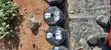 Brand New Concrete Barbells with Rubber Coating - 1