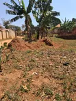 Nakwero 25 Decimals Land for Sale - 2