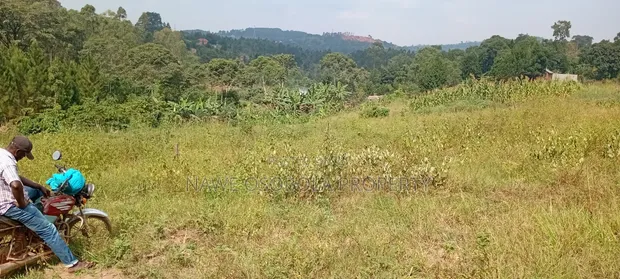 300 Acres for Sale in Lukaya-Kiragga - 1