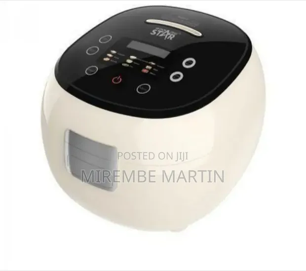 Winningstar Professional Digital Multi-Functional Rice Cooker - 1