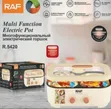 RAF Dual-Compartment Electric Mini Cooker / Hot Pot - 2