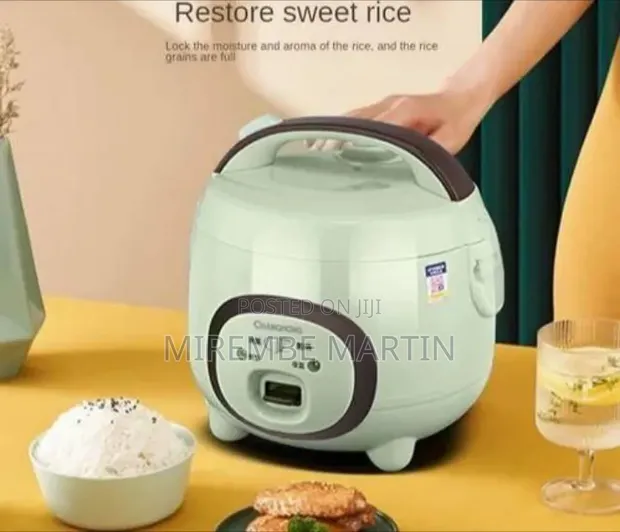 Aide 1.6L Compact Smart Electric Rice Cooker - 1