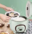 Aide 1.6L Compact Smart Electric Rice Cooker - 2