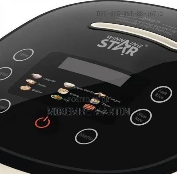 Winningstar Compact Electric Rice Cooker - 1