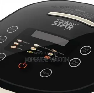 Winningstar Compact Electric Rice Cooker