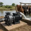Electric Farm Water Pumps (550W-2200W) - 5