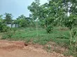 100ft x 100ft Plot for Sale in Kasangati Nalusuga - 4