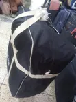 Howl Lion Sports Large Capacity Travel Bag - 1