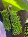 Lovable Artificial Turf - 2