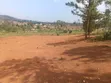 Plots for Sale in Seguku - 3