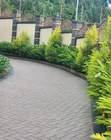 Expert Compound Designers & Gardening Specialists - 3