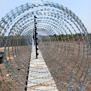 Electric Fence System Installation with Razor Wire